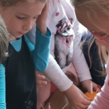 IMG_20191216_124208