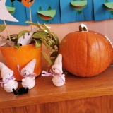IMG_20191101_121904